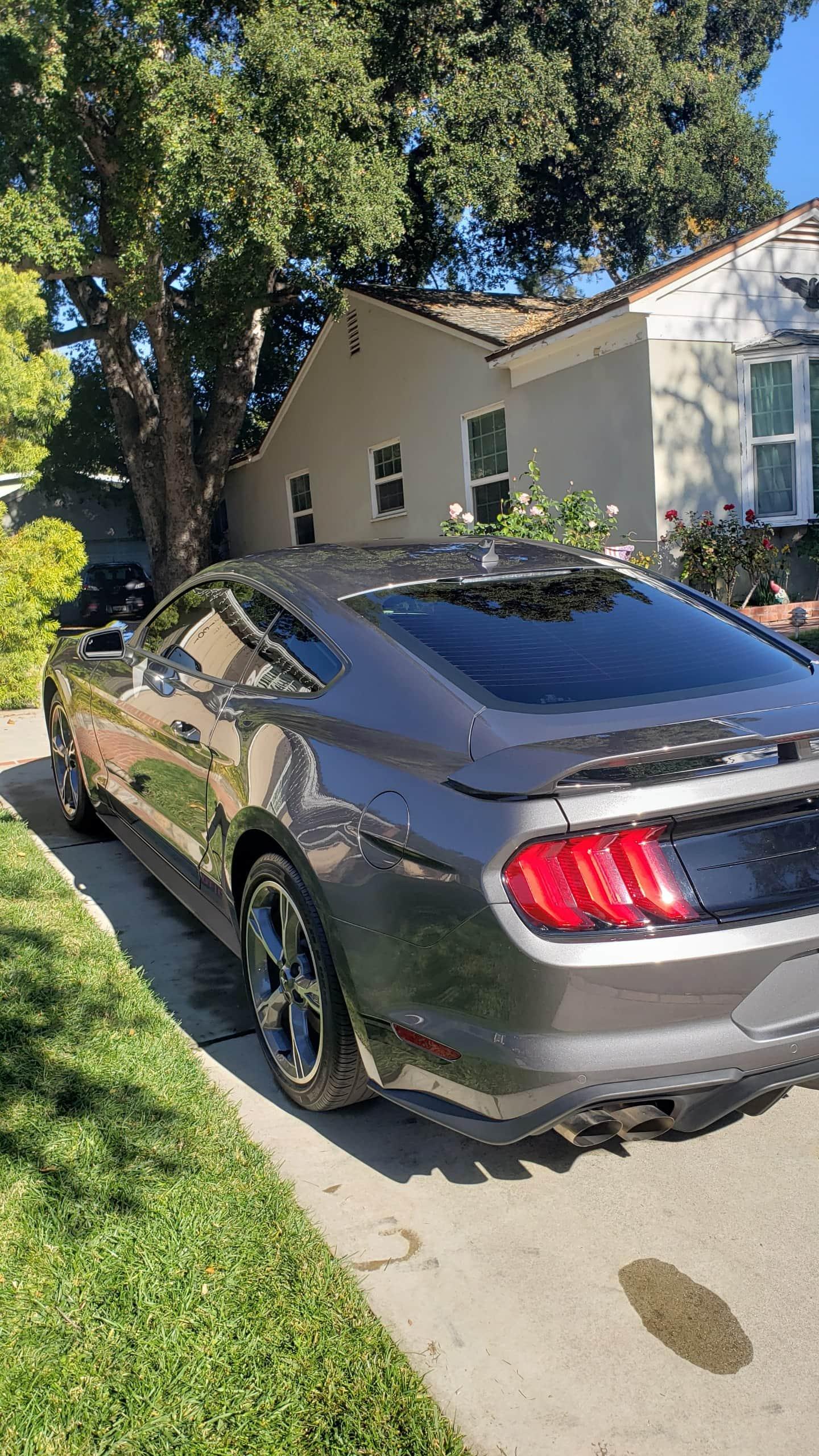 Gray Mustang Detailing